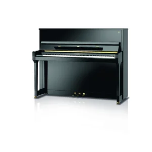 Schimmel Fridolin F 116