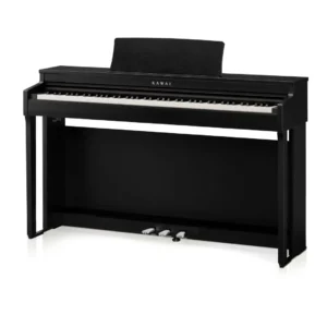 Kawai CN-201