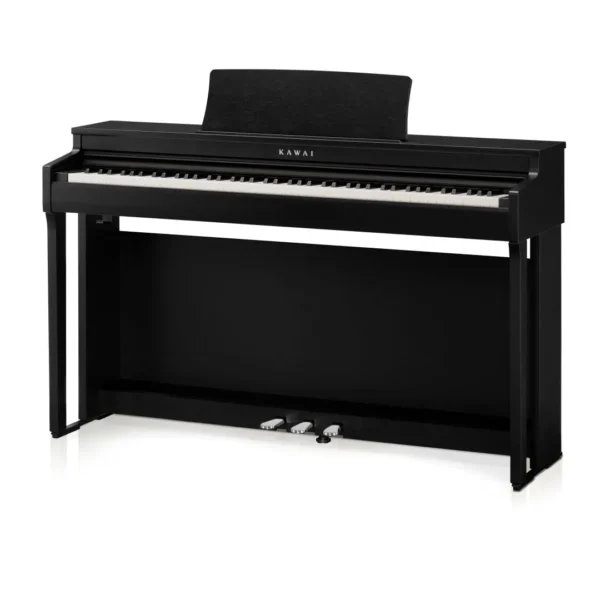 Kawai CN-201