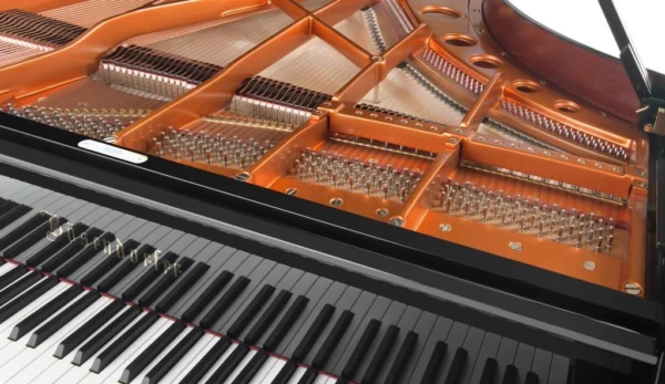 Bösendorfer 225