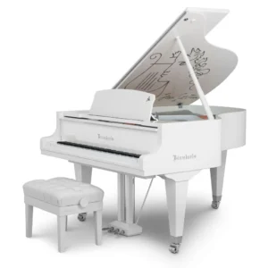 Bösendorfer Limited Edition-Cocteau