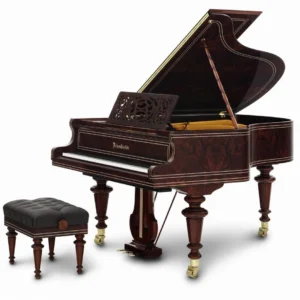Bösendorfer Limited Edition-Liszt