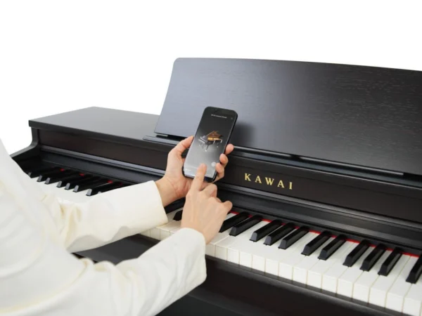 Kawai CN-201