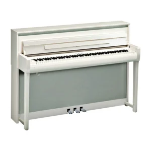 Kawai CS-11 WHP