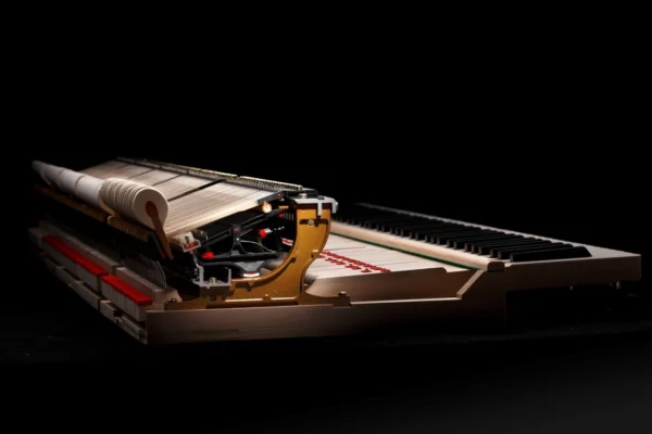 Kawai GX-1 EP