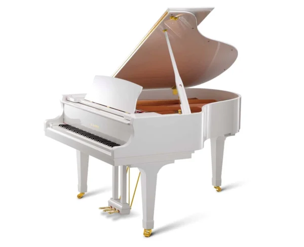 Kawai GX-2 PE