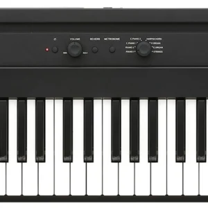 Korg Liano L-1