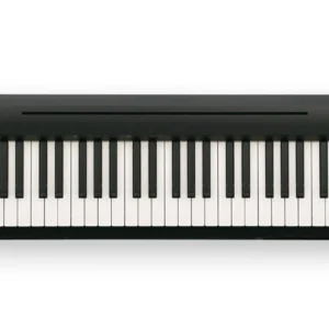 Roland FP-10