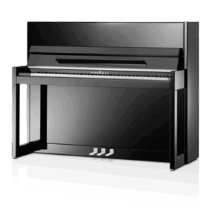 Schimmel C-116 Modern Cubus