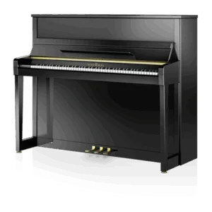 Schimmel C-120 Elegance