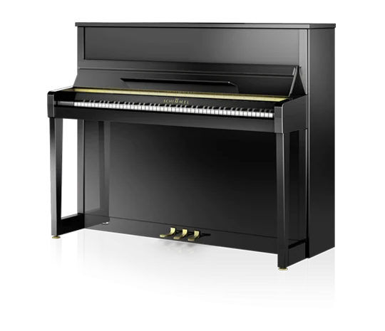 Schimmel C-120 Elegance