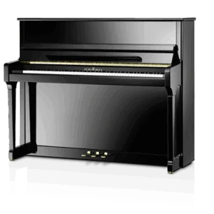 Schimmel C-120 Tradition