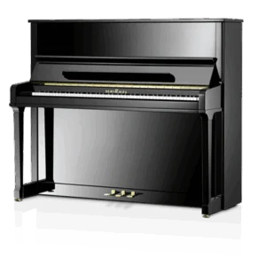 Schimmel C-126 Tradition