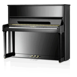 Schimmel C-130 Tradition