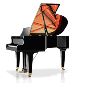 Schimmel C-169 Tradition