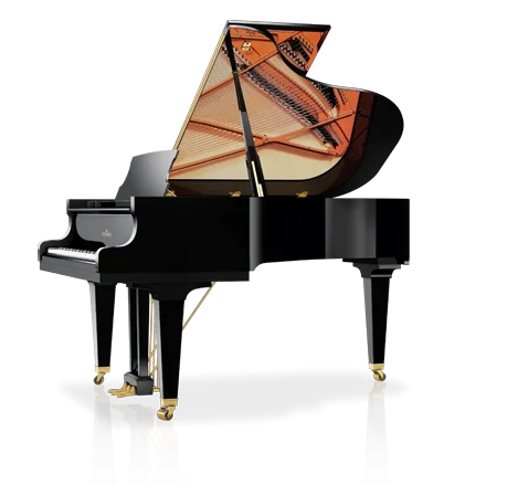 Schimmel C-189 Tradition