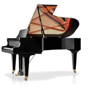 Schimmel C-213 Tradition