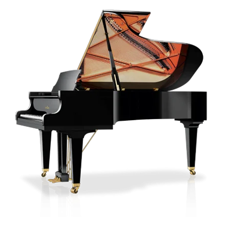 Schimmel C-213 Tradition
