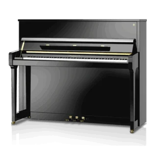 Schimmel Fridolin F 121