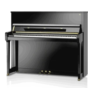 Schimmel Fridolin F 123