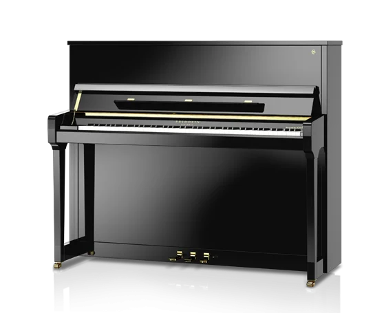 Schimmel Fridolin F 123