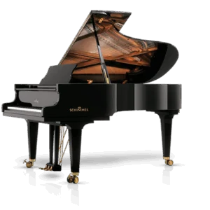 Schimmel K-219 Tradition