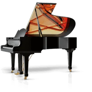 Schimmel W-206 Tradition