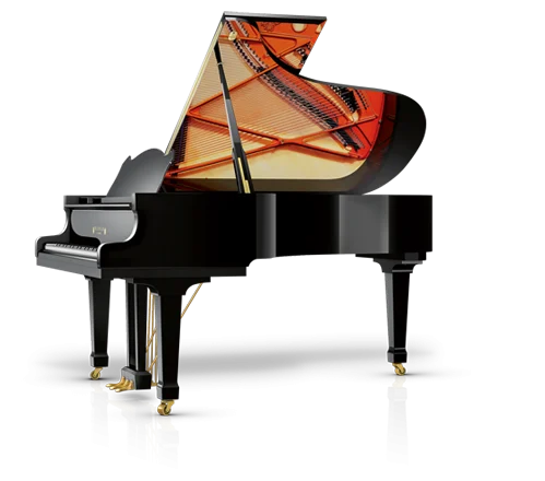 Schimmel W-206 Tradition
